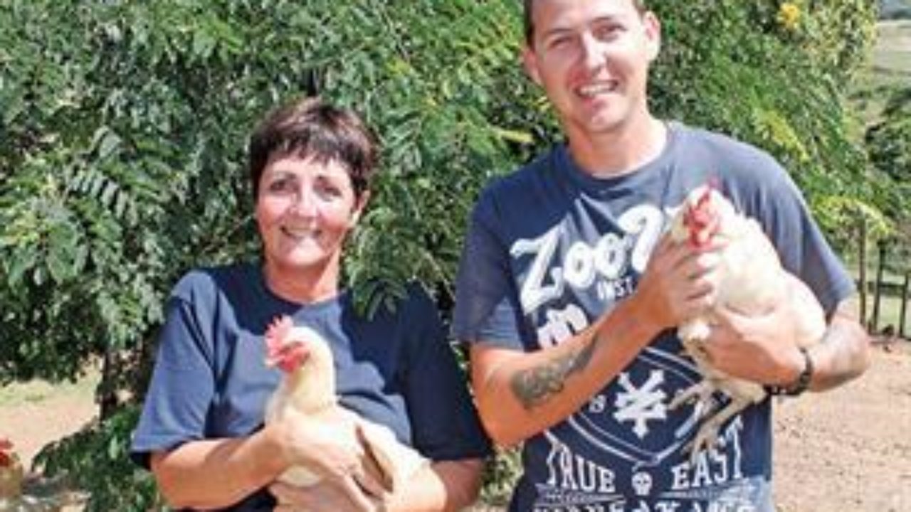 Producing Free Range Eggs In Kzn Farmers Weekly