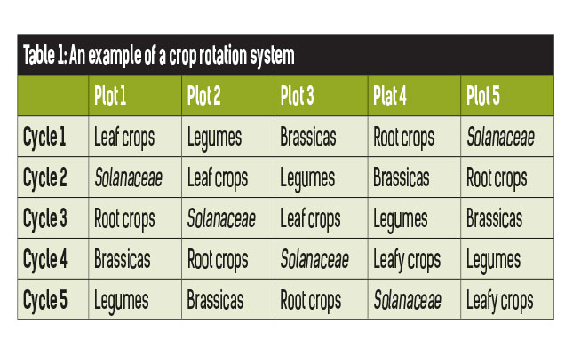 Printable Crop Rotation Chart