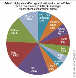 Farming in Poland, Europe’s growth engine