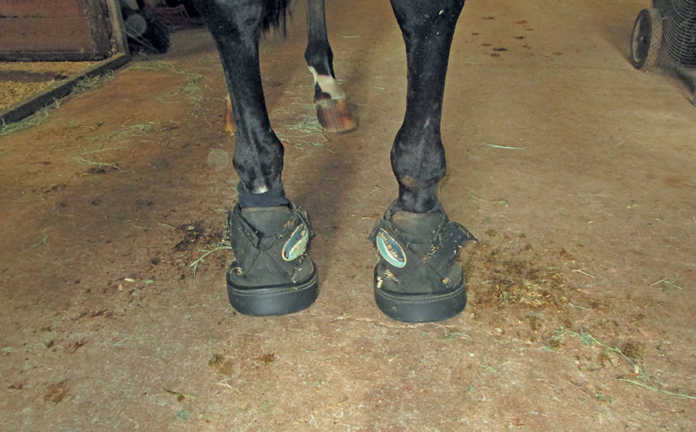 best boots for working with horses
