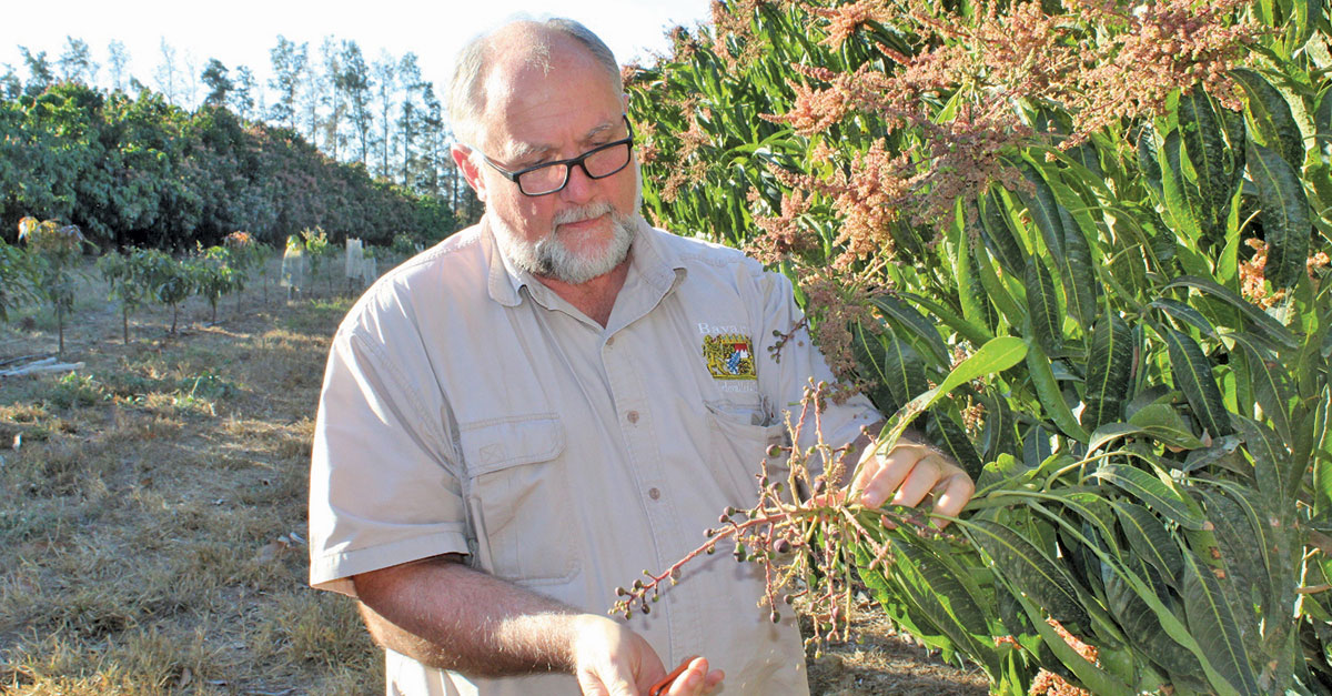 Dispensa in mango Farmers