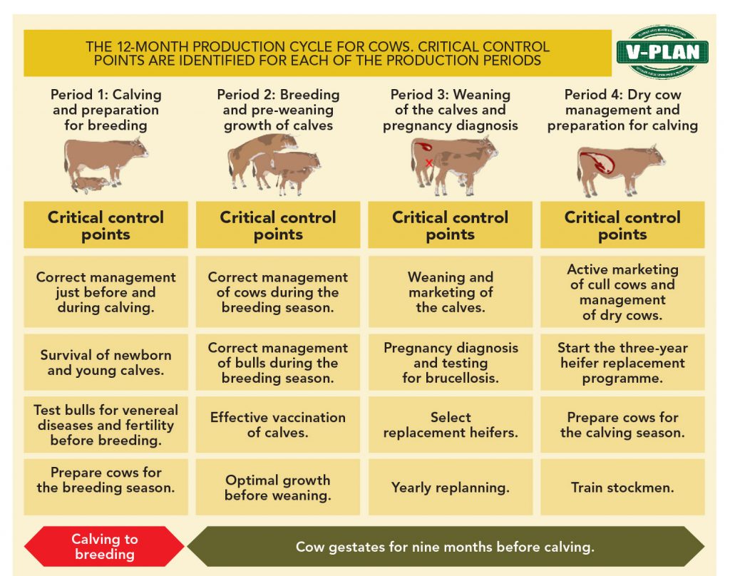 A Herd Health And Production Management Plan 8721