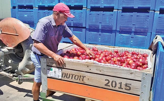 Former seasonal employee wins most sensible farming award