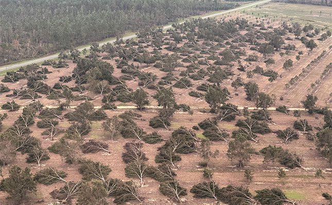 Hurricane Helene Wreaks Havoc Across South-eastern US Farms