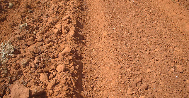 how-to-do-a-soil-test