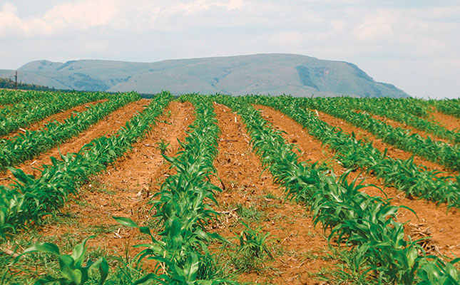 getting-started-with-maize