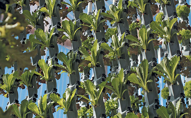 vertical farming - less space, less water, higher yield