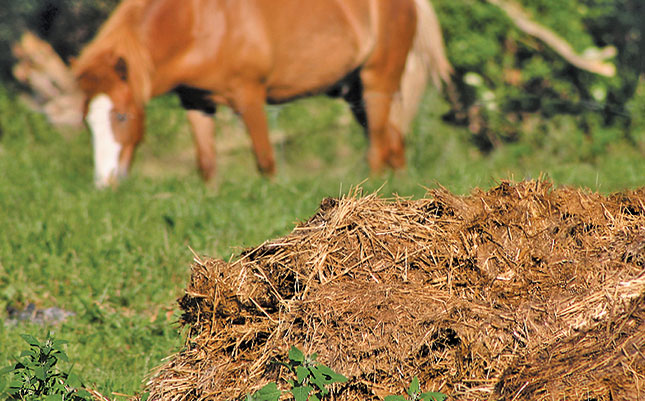 the-need-for-manure-to-be-broken-down