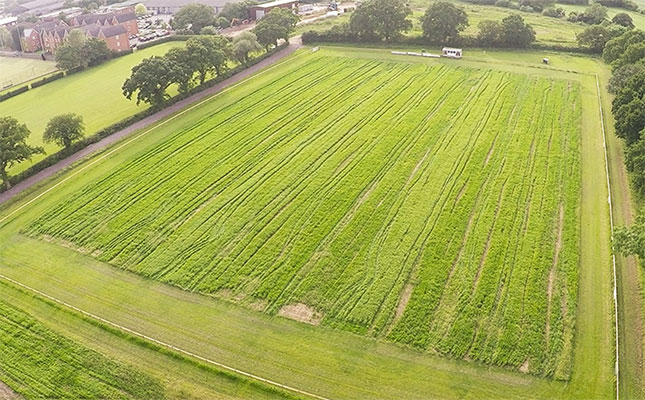 harvesting-the-hands-free-hectare