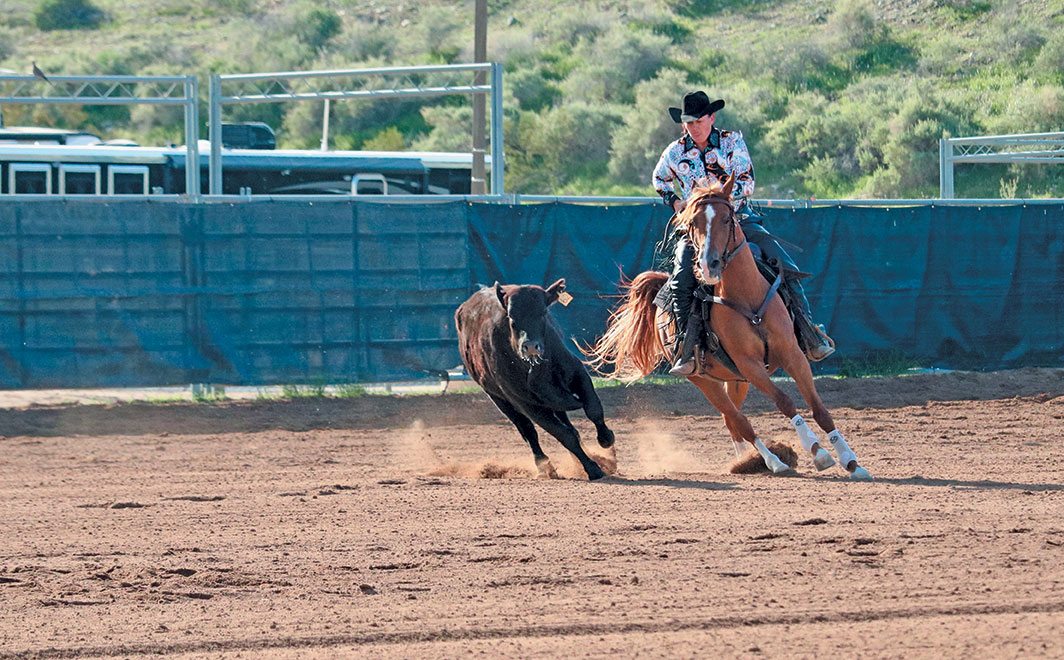 Why cutting horses are useful